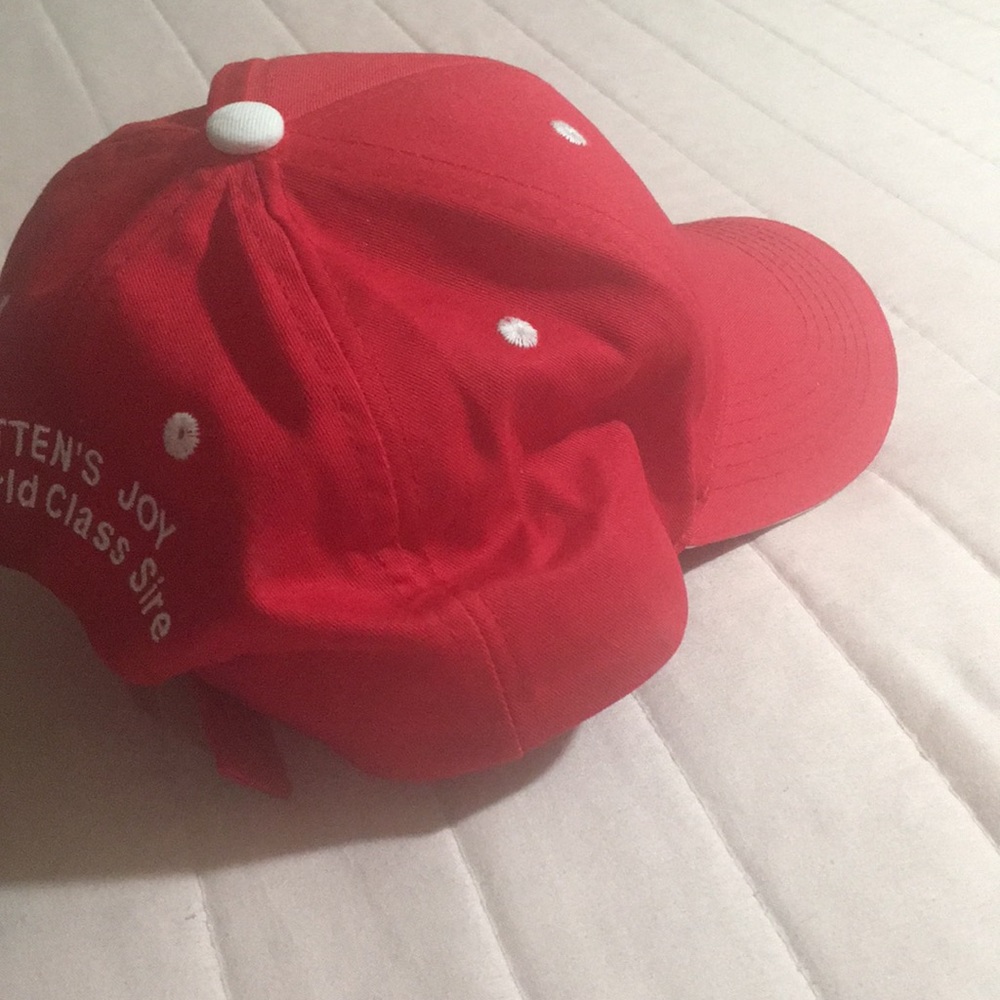 Hat - Picture 3 of 5